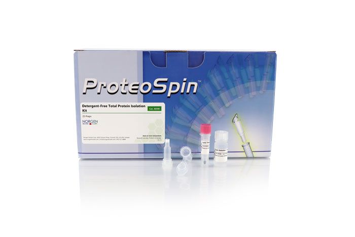Detergent-Free Total Protein Isolation Kit